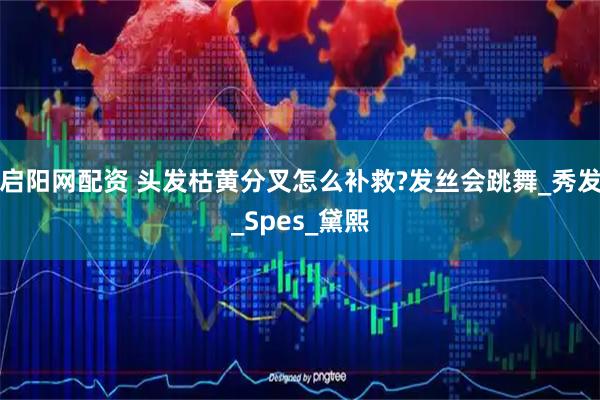 启阳网配资 头发枯黄分叉怎么补救?发丝会跳舞_秀发_Spes_黛熙