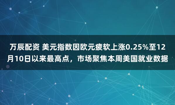 万辰配资 美元指数因欧元疲软上涨0.25%至12月10日以来最高点，市场聚焦本周美国就业数据