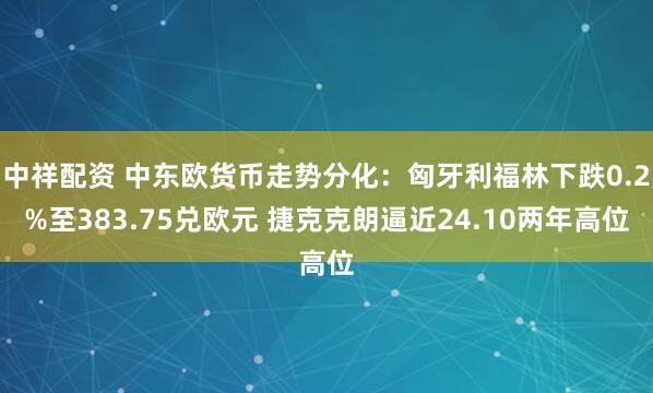 中祥配资 中东欧货币走势分化：匈牙利福林下跌0.2%至383.75兑欧元 捷克克朗逼近24.10两年高位